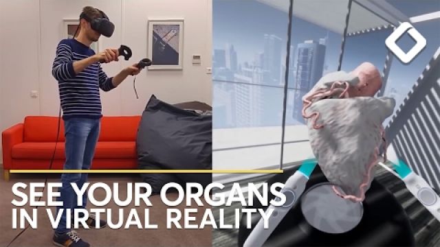 GE Takes 3D Medical Models to the Next Level With Virtual Reality