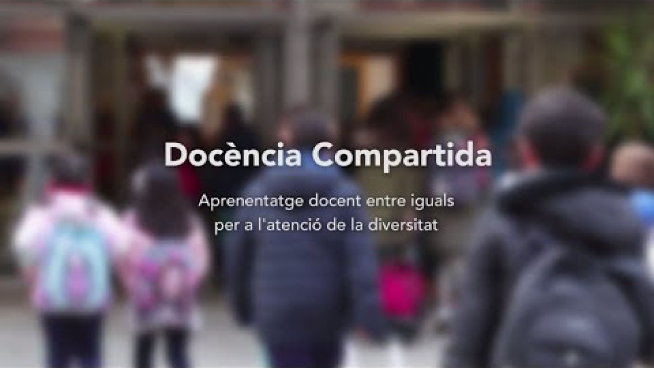 Docència compartida: Aprenentatge docent entre iguals per a l'atenció a la diversitat