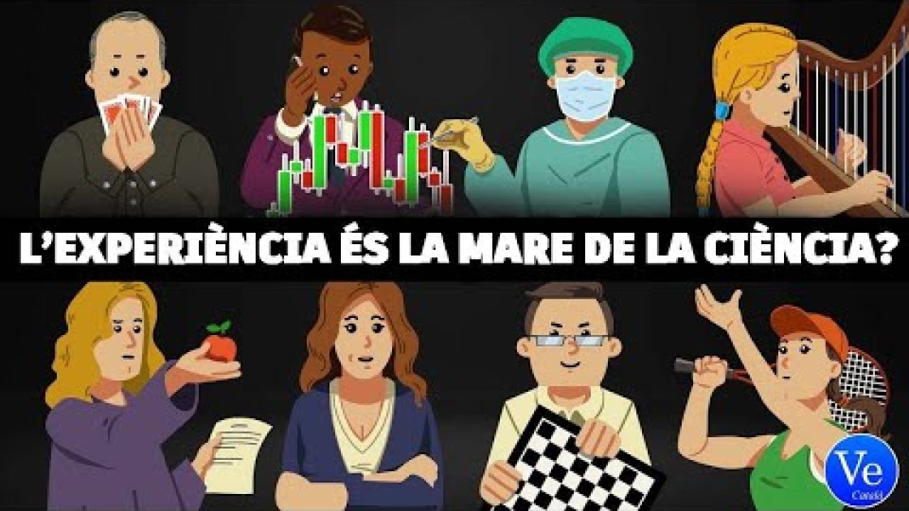 Les 4 coses que calen per ser una persona experta