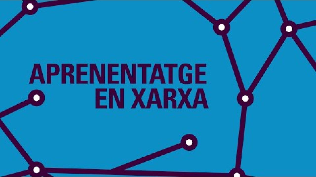 Aprenentatge en xarxa