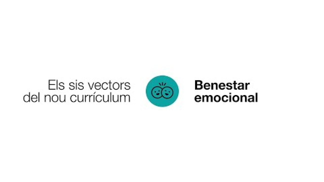 Benestar emocional. Persones expertes i experiències de centres