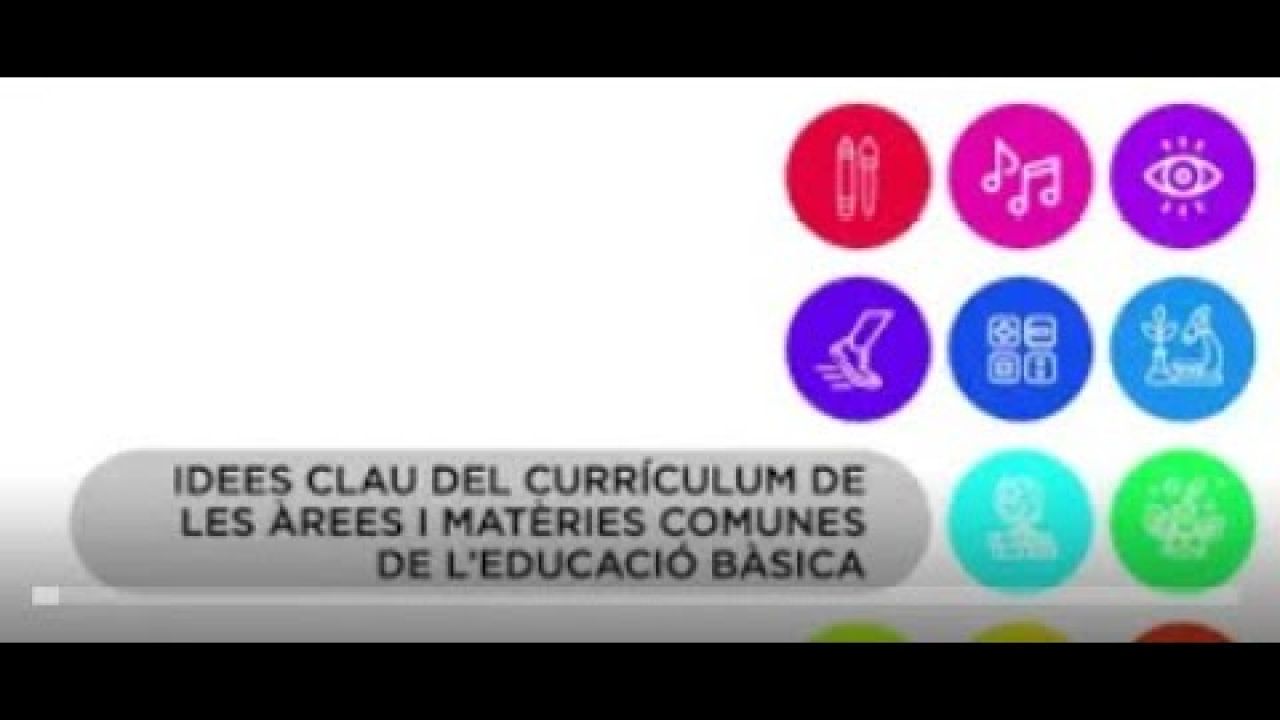 Idees clau del currículum de les àrees i matèries comunes de l'educació bàsica.